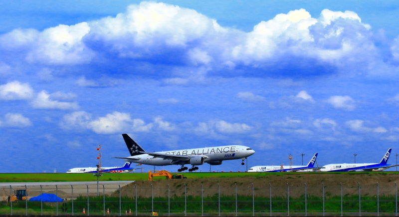 a0150260_23501674.jpg