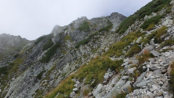 b0050067_12453122.jpg