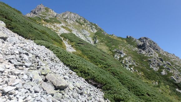 b0050067_15035140.jpg