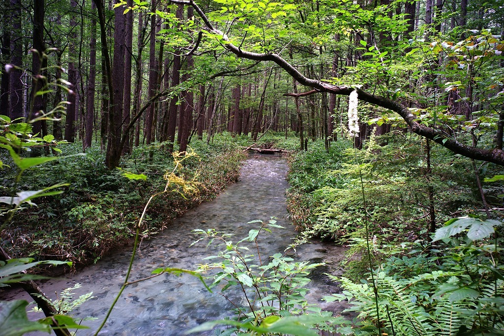 c0362972_22124539.jpg