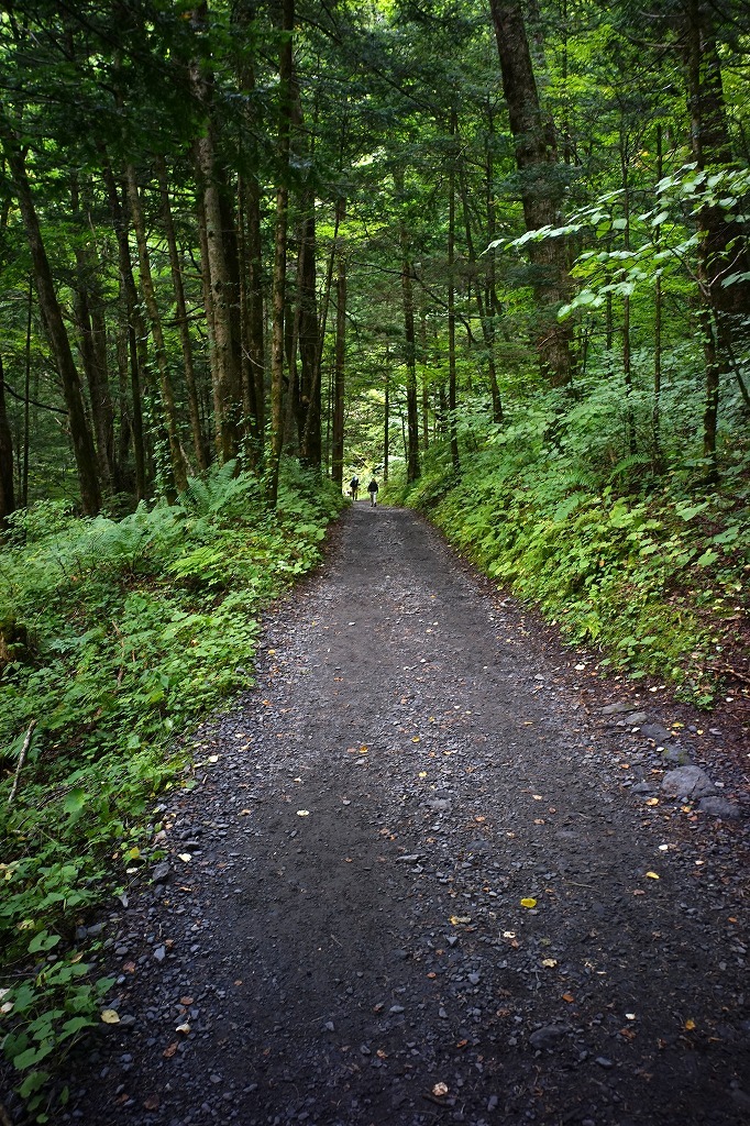 c0362972_22133969.jpg