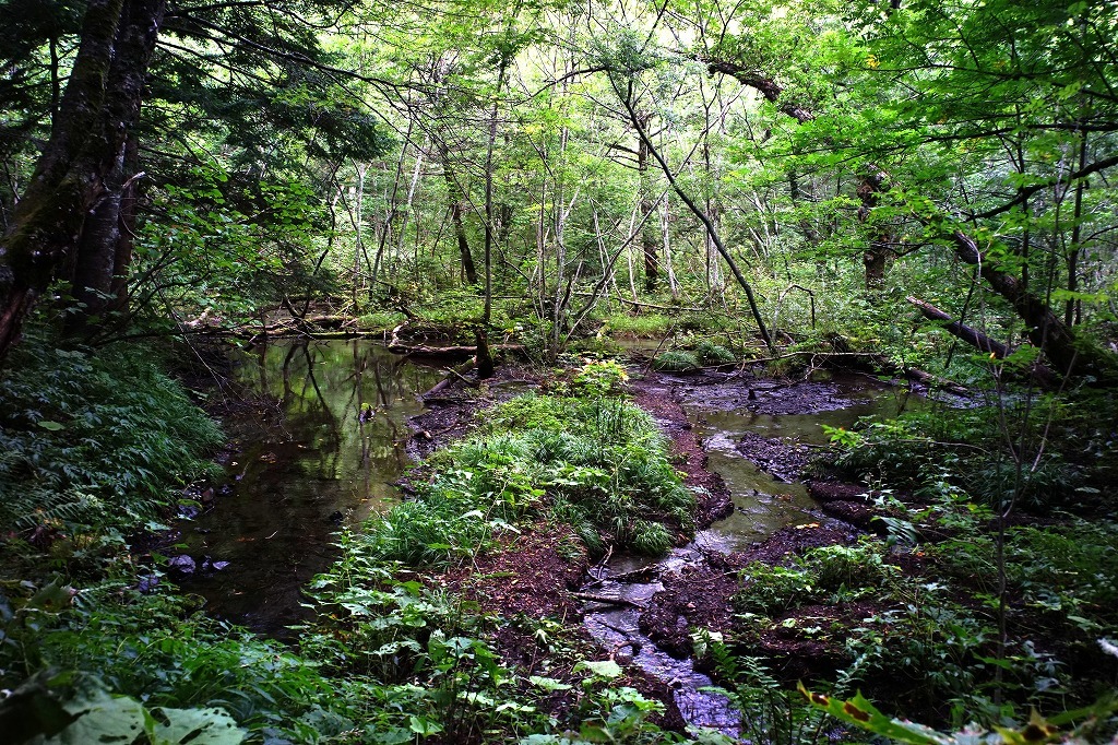 c0362972_22141324.jpg