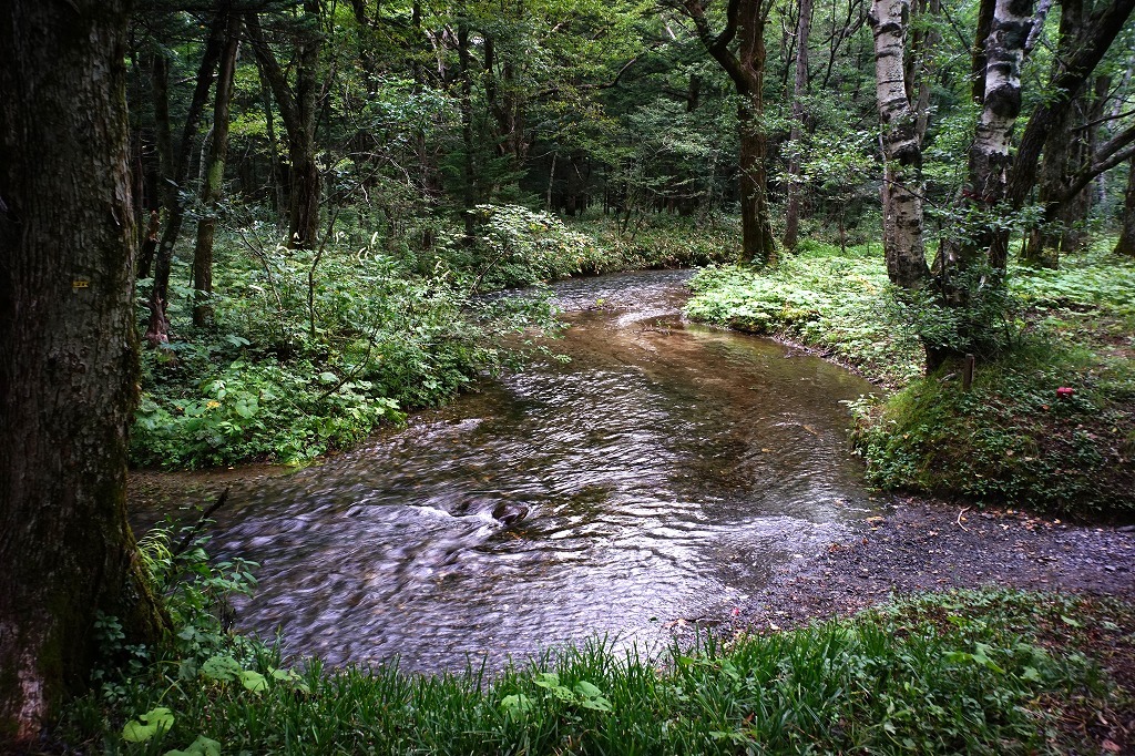 c0362972_22165767.jpg
