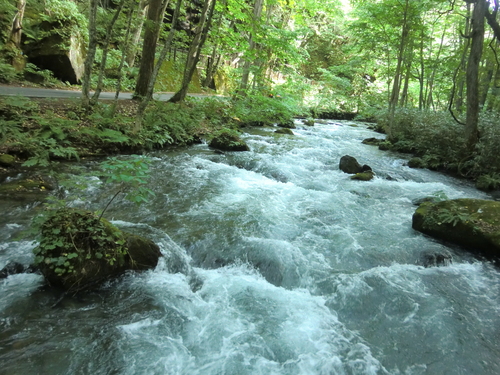 e0027681_1433484.jpg