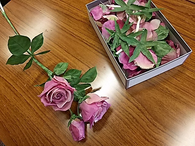 f0303594_00100349.jpg