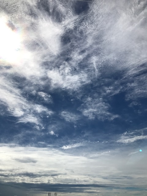 f0204295_10145487.jpg