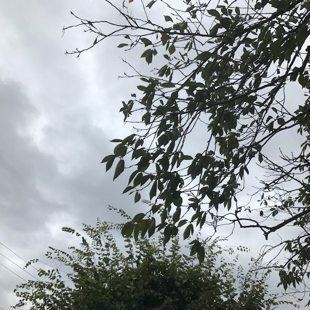 f0204295_10161738.jpg