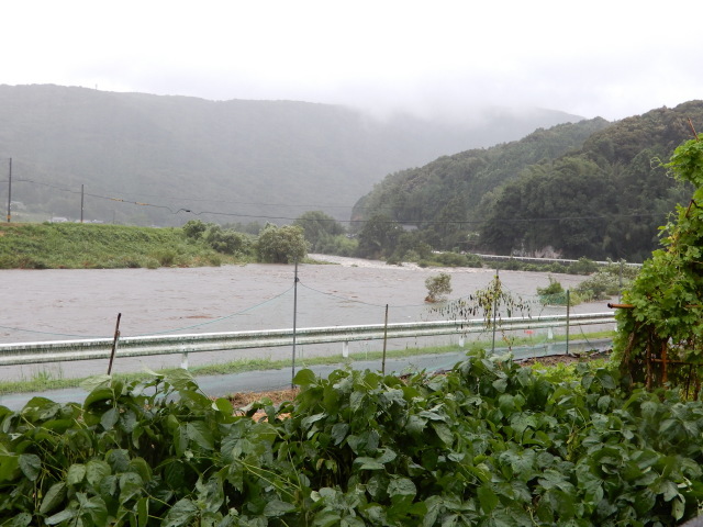 c0361298_22292563.jpg