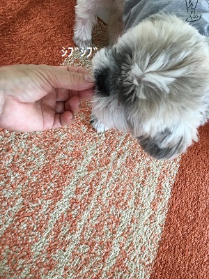 f0372998_16013642.jpg