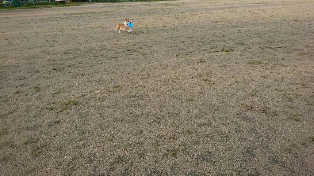 f0371101_15140774.jpg