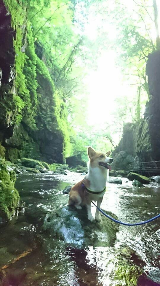 f0371101_15203221.jpg