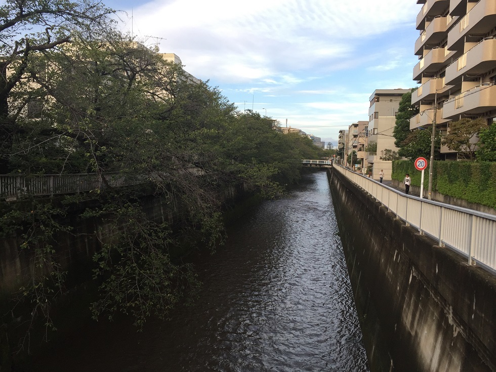 e0242504_15283924.jpg