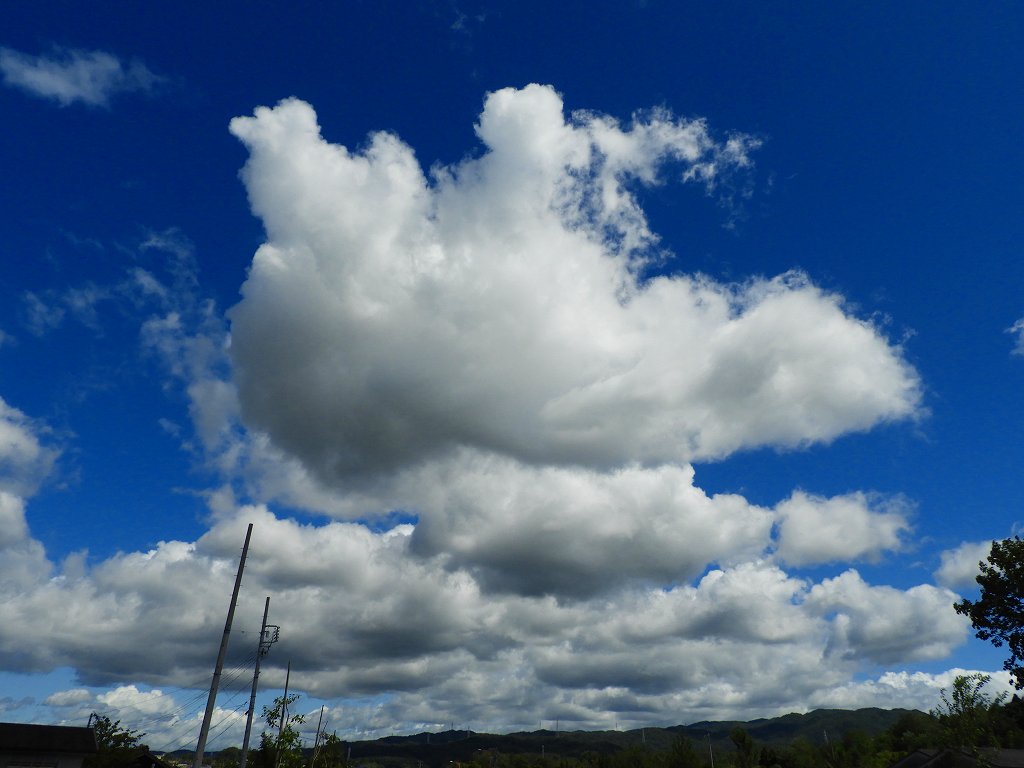 e0372207_1213844.jpg