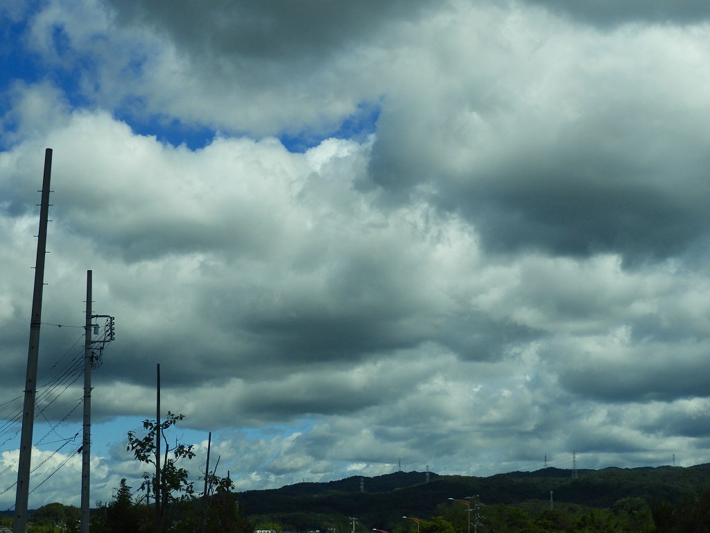 e0372207_1215597.jpg