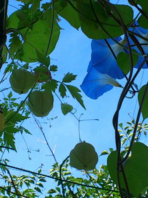 b0028109_21281743.jpg