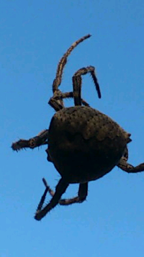 b0028109_213930100.jpg
