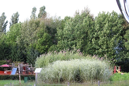 f0325309_17091778.jpg