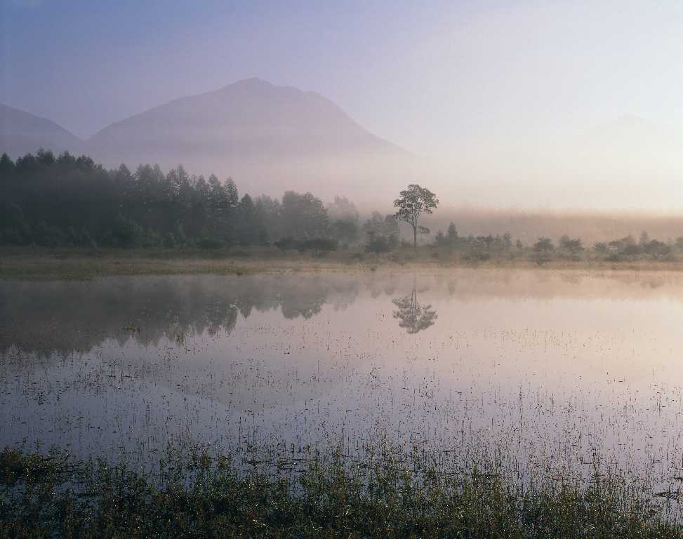 d0333714_09052476.jpg