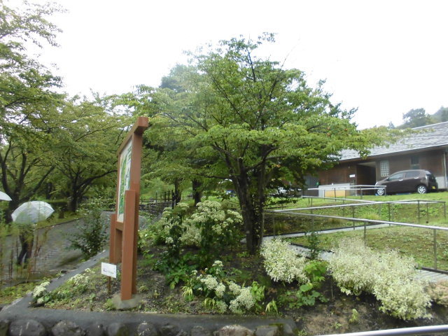 b0181818_08531744.jpg