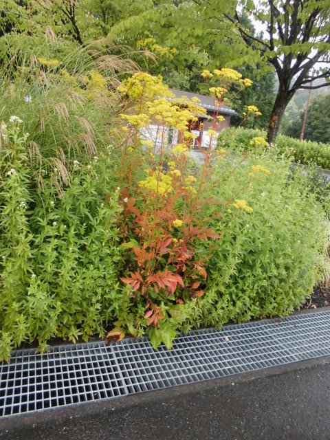 b0181818_09084623.jpg