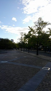 a0172222_22493890.jpg