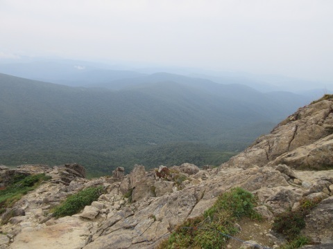 f0149422_18061925.jpg