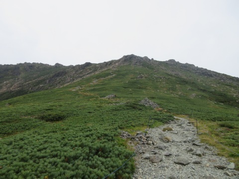 f0149422_18071330.jpg