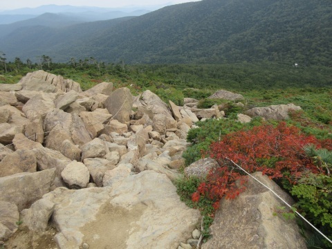 f0149422_18073040.jpg
