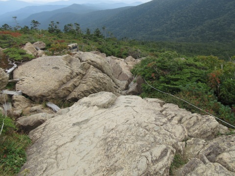 f0149422_18074971.jpg