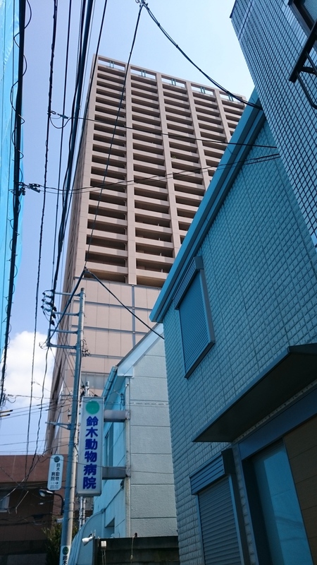 a0214329_944159.jpg