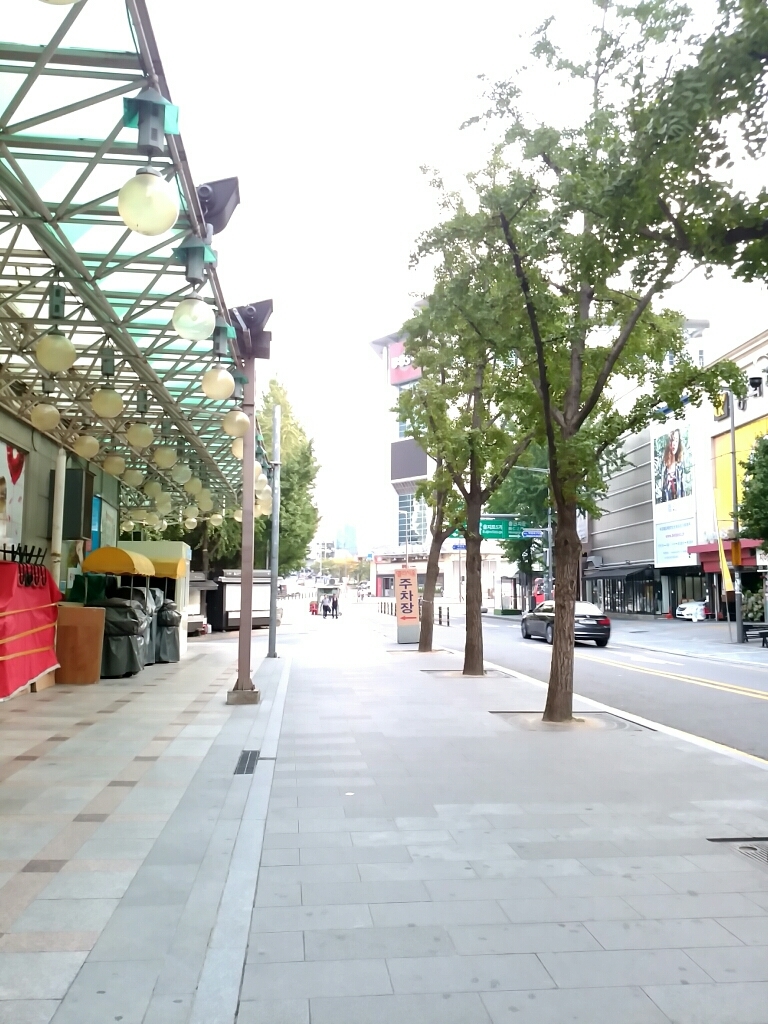 d0211229_17170538.jpg
