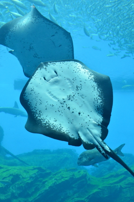 c0172234_12564386.jpg