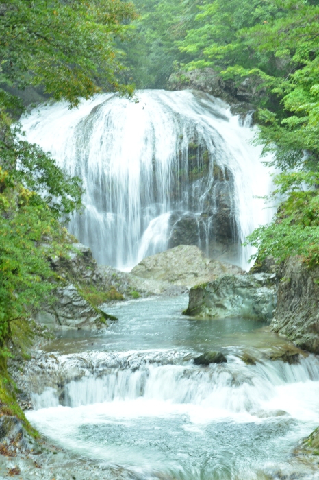 c0172234_12571386.jpg