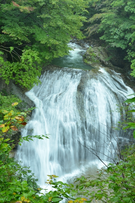 c0172234_12573702.jpg