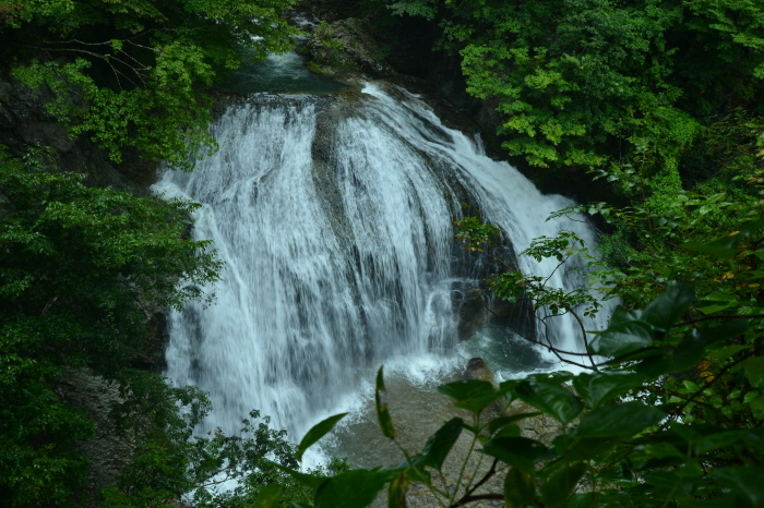c0172234_12574865.jpg