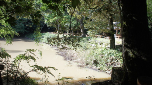 e0166734_20185750.jpg