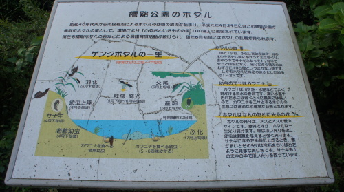 e0166734_20323020.jpg