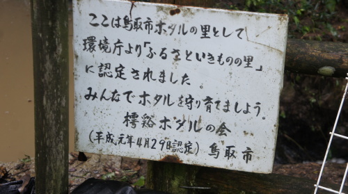e0166734_20334406.jpg