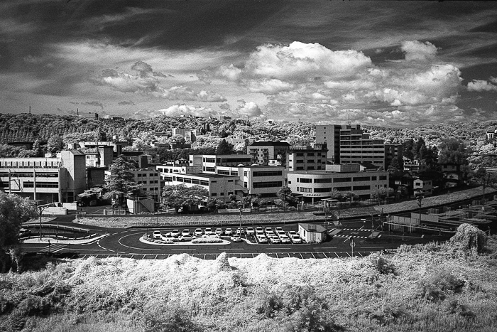 f0265234_20441466.jpg