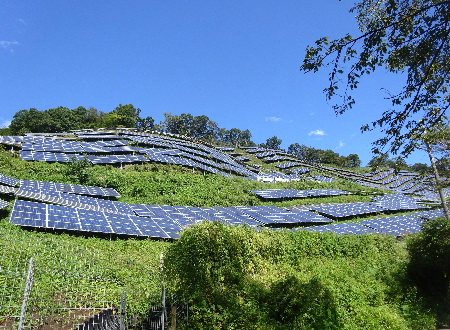e0172950_2103354.jpg