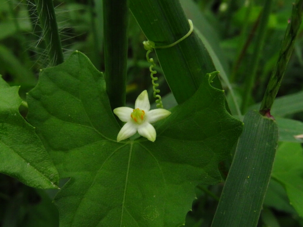 a0018655_14582241.jpg