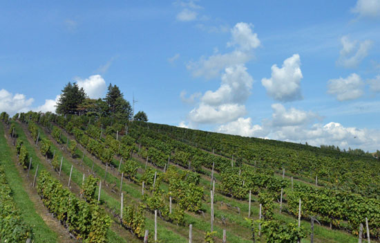 b0016557_1753591.jpg
