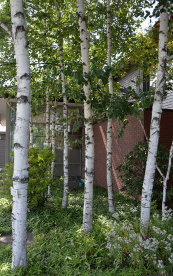 b0016557_1762661.jpg