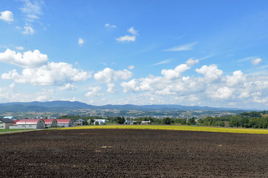 b0016557_1763562.jpg