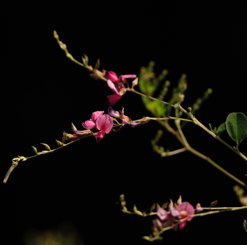 a0248459_18530171.jpg