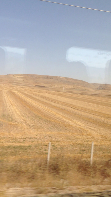 d0183861_15480060.jpg