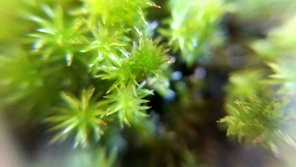 d0276968_02060932.jpg