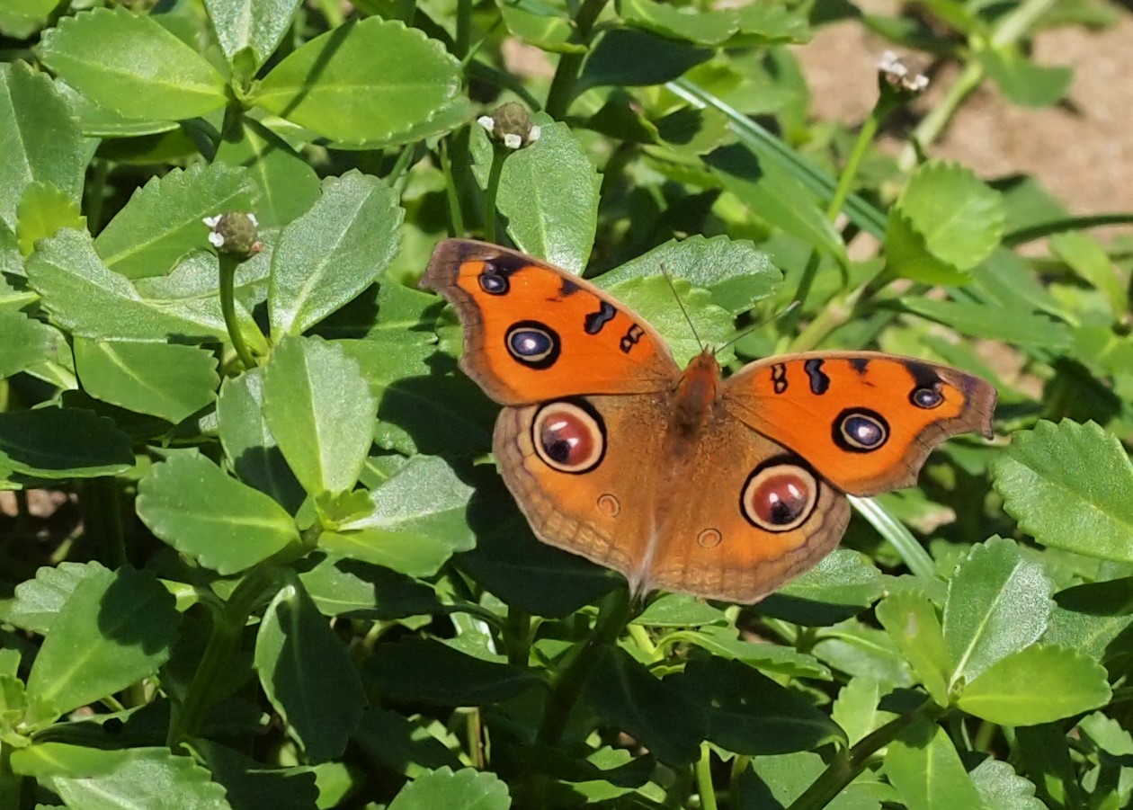 b0135573_20354655.jpg