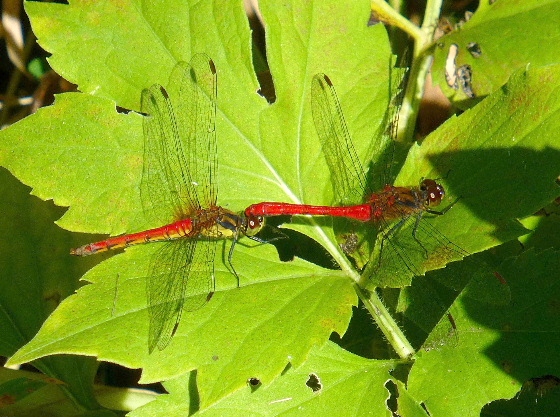d0084473_2271288.jpg