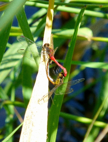 d0084473_228145.jpg